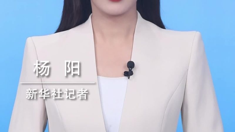 知识图谱存储实施步骤：构建企业智能决策基石